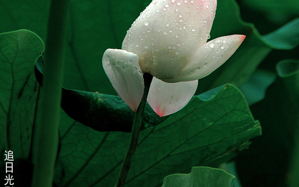 重庆工信职业学院在浙江各专业录取位次是多少 最低录取238527位（2026年参考）