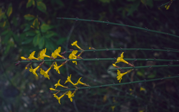 河南推拿职业学院在山东各专业录取位次是多少 最低录取332848位（2026年参考）