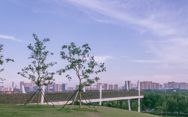 辽宁中医药大学在安徽各专业组录取位次是多少 最低录取11597位（2026年参考）