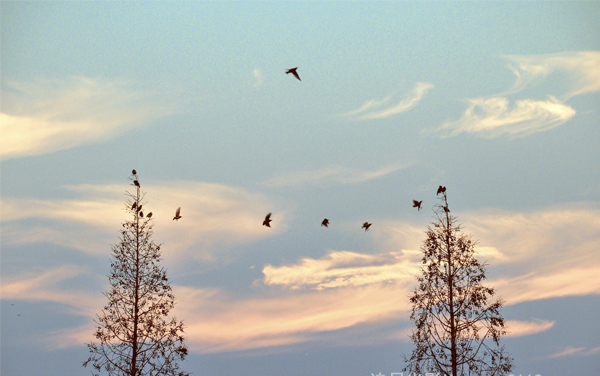 2025湖南师范大学在北京各专业学费一年多少钱 怎么交学费？如何交学费