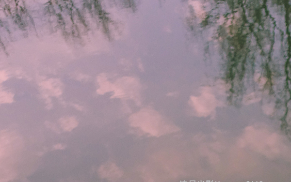 青海哪些大学招生智慧牧业科学与工程专业及选科要求 共1所高校和开设学校推荐（2026参考）