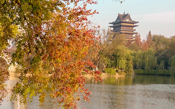 2025年福建信息职业技术学院各专业录取分数线全国汇总 各省最低多少分能上（含中外合作、国家专项）