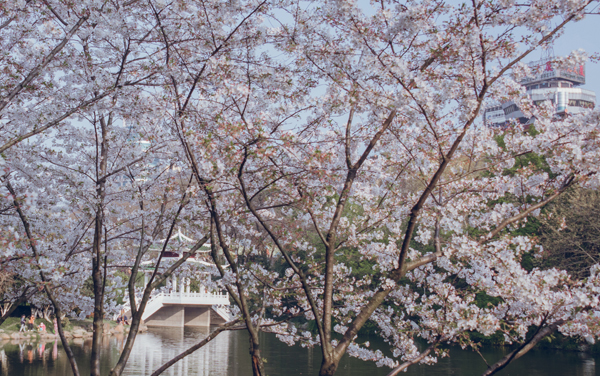 重庆物化生581分左右可以上什么大学及专业 冲稳保院校推荐（2026参考）