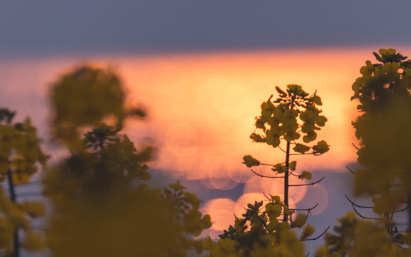 新疆哪些大学招生医用电子仪器技术专业及选科要求 共1所高校和开设学校推荐（2026参考）
