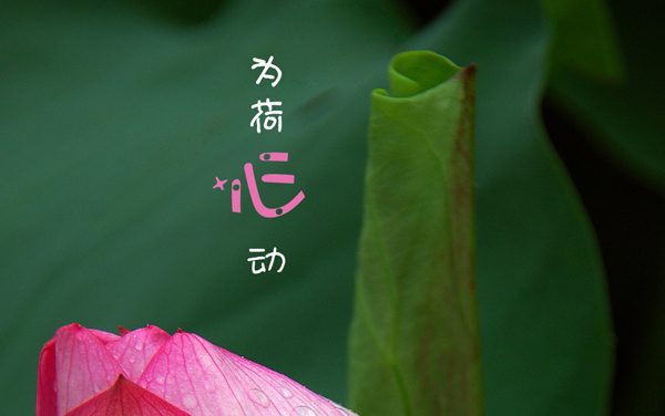 2026年艺考美术生多少分能上山东服装职业学院及专业 最低分数（各省汇总）