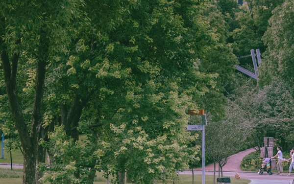 2025金肯职业技术学院在河北各专业学费一年多少钱 怎么交学费？如何交学费