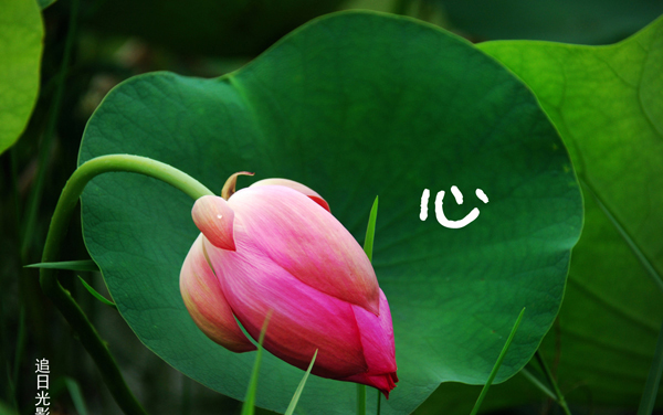 2025热工自动化技术专业录取分数线及位次 各省院校推荐(2026年参考)