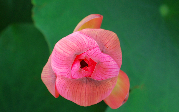 甘肃开设道路工程造价专业大学有哪些 相关专业推荐（2026参考）