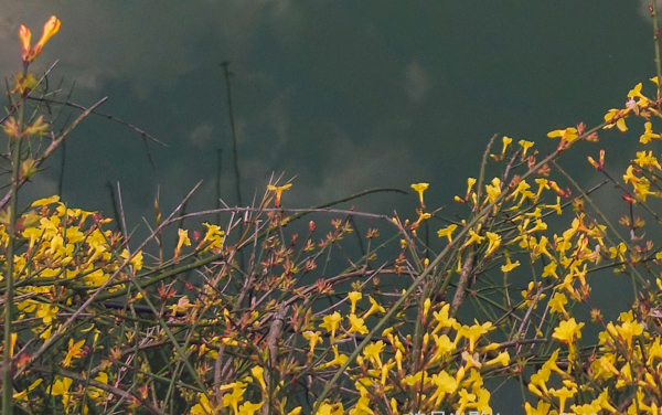 黑龙江物生政318分左右可以上什么大学及专业 冲稳保院校推荐（2026参考）